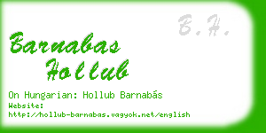 barnabas hollub business card